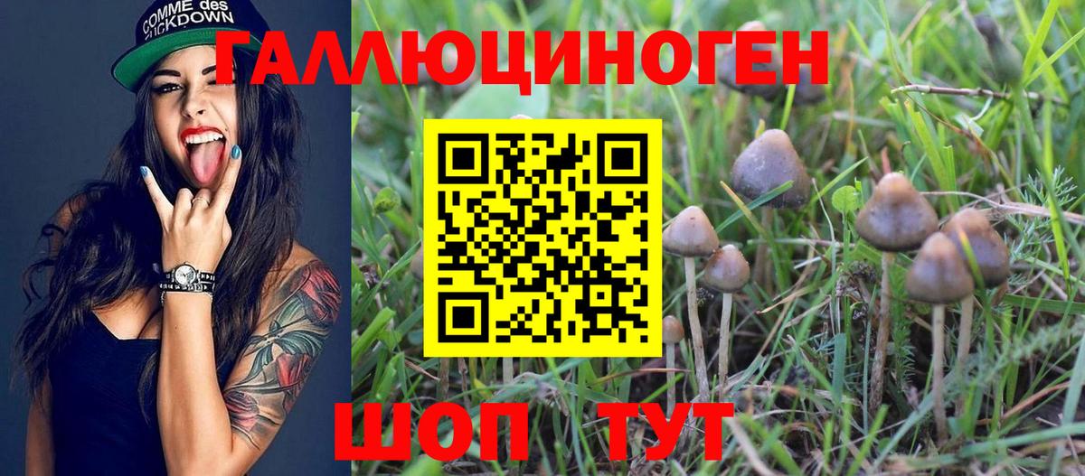 Галлюциногенные грибы Psilocybine cubensis  Вход с VPN  Псилоцибиновые грибы ЛСД  Борисоглебск 